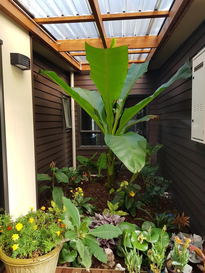 Heta Road B&B New Plymouth Exterior foto